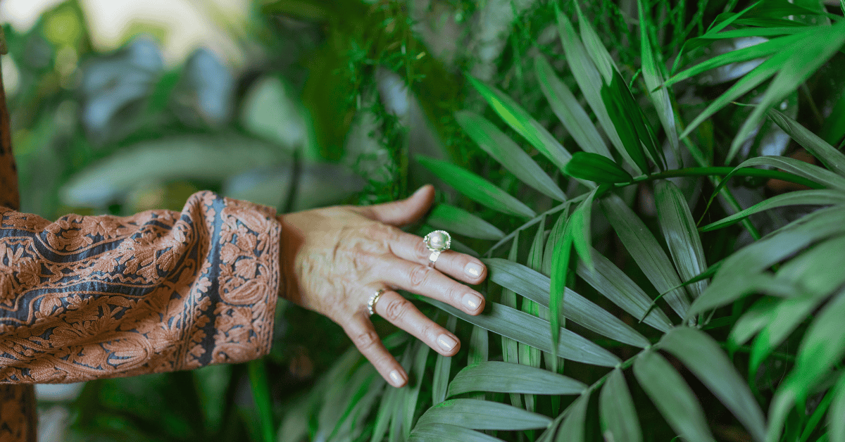 Seven Hobbies That Spark Senior Souls 3 Sensory Gardening For Cognitive Wellness